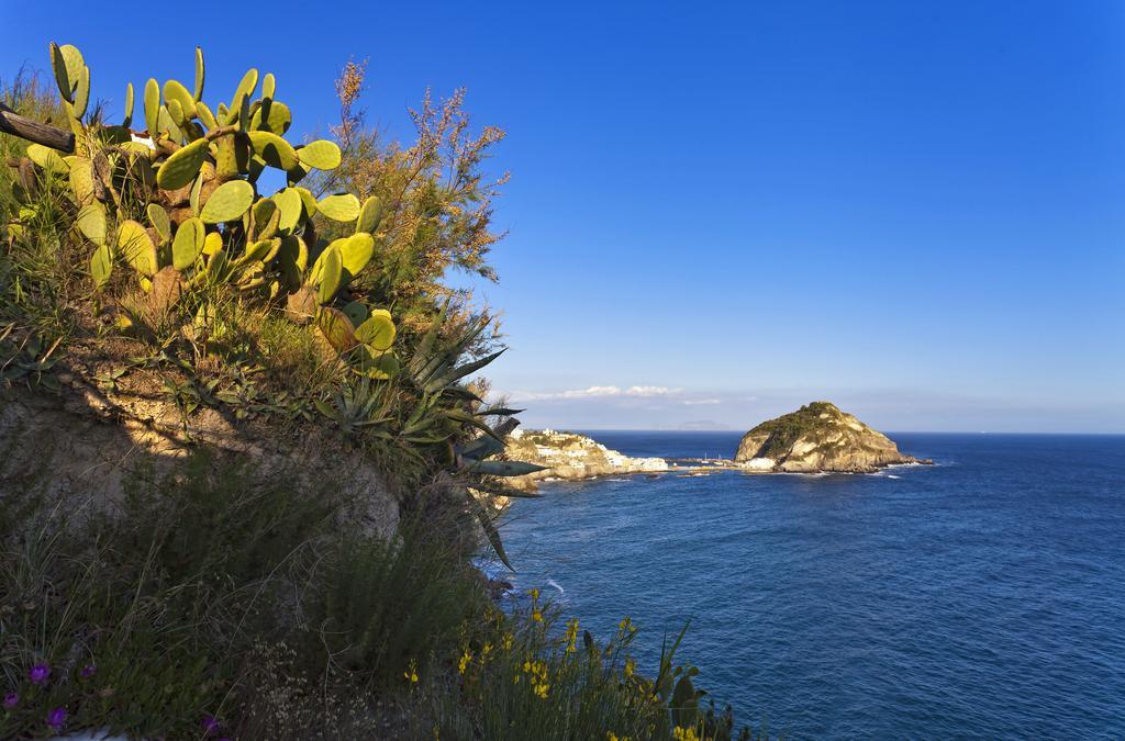 Costa Del Capitano Seaside Villas Sant'Angelo  Buitenkant foto